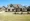 Navigating the Challenges of Buying an Occupied House at Auction
